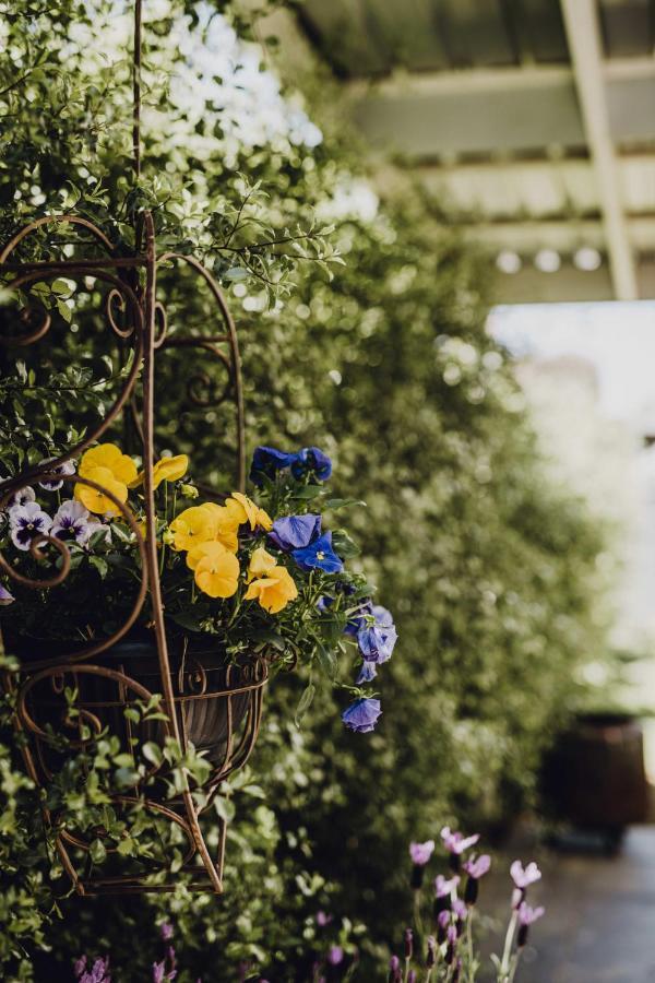 Belle On March - High-end Heritage *